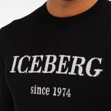 Iceberg 1974 Pullover